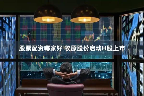 股票配资哪家好 牧原股份启动H股上市