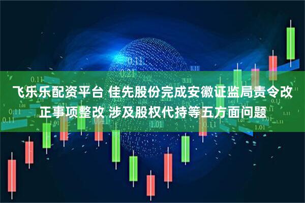 飞乐乐配资平台 佳先股份完成安徽证监局责令改正事项整改 涉及股权代持等五方面问题