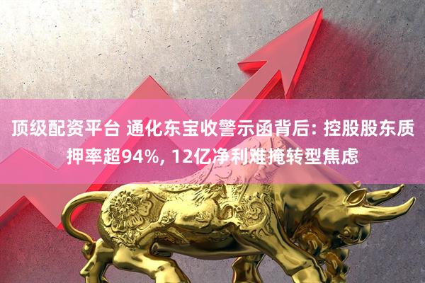 顶级配资平台 通化东宝收警示函背后: 控股股东质押率超94%, 12亿净利难掩转型焦虑