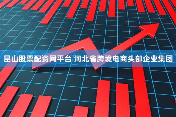 昆山股票配资网平台 河北省跨境电商头部企业集团